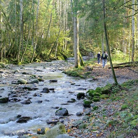 Ferienhaus Wetzel Weiler-Simmerberg Exteriör bild